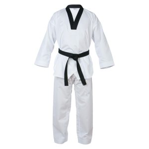 Taekwondo